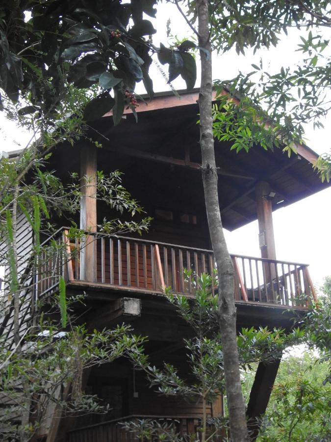 Frühstückspension Wilpattu Tree House Nochchiyagama