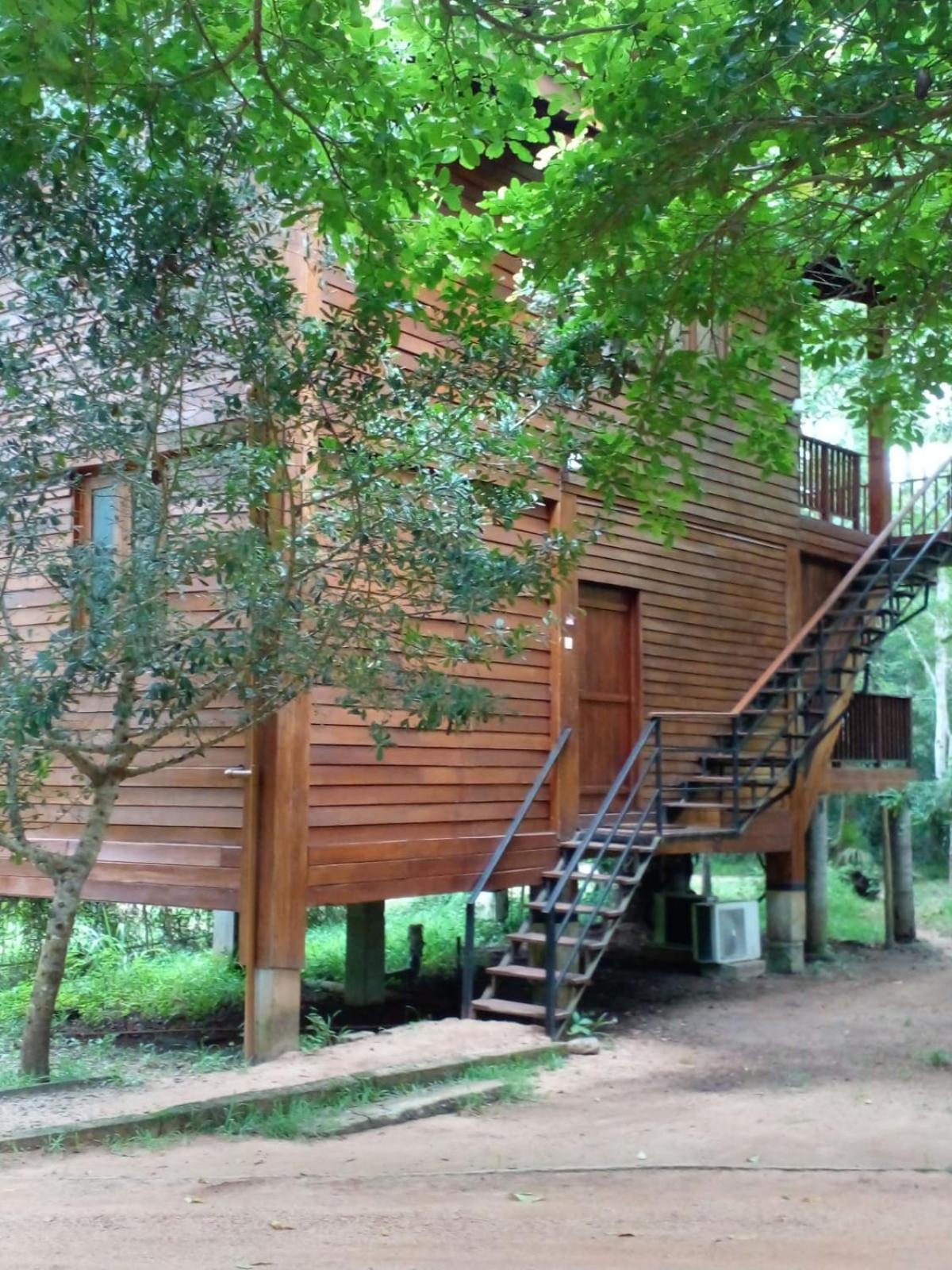 Wilpattu Tree House